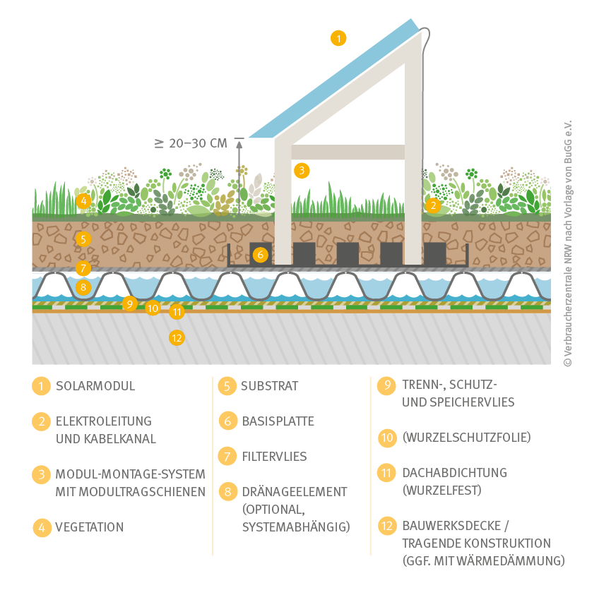 Querschnitt eines extensiven Solargründaches (Südausrichtung)