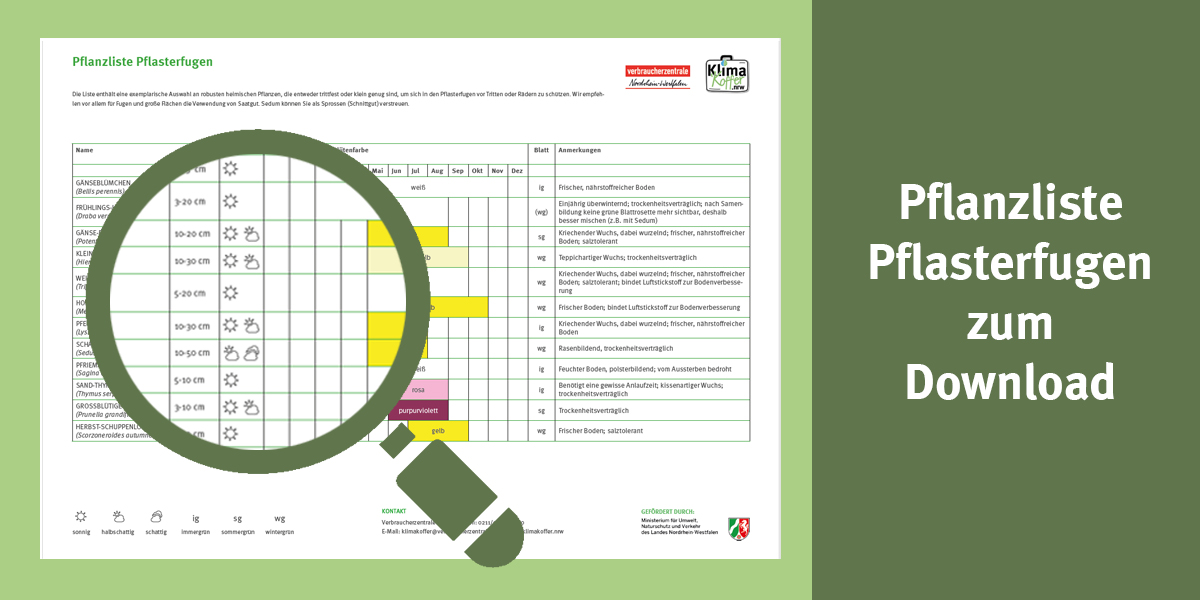 Pflanzliste Pflasterfugen zum Download
