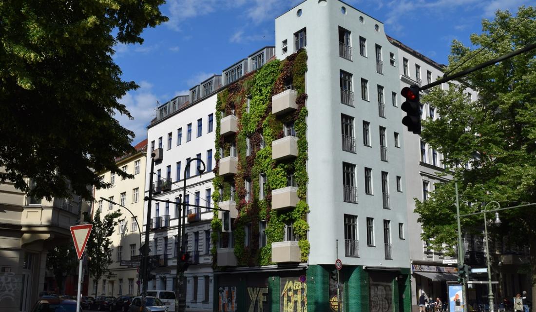Fassadenbegrünung an einem Mehrfamilienhaus