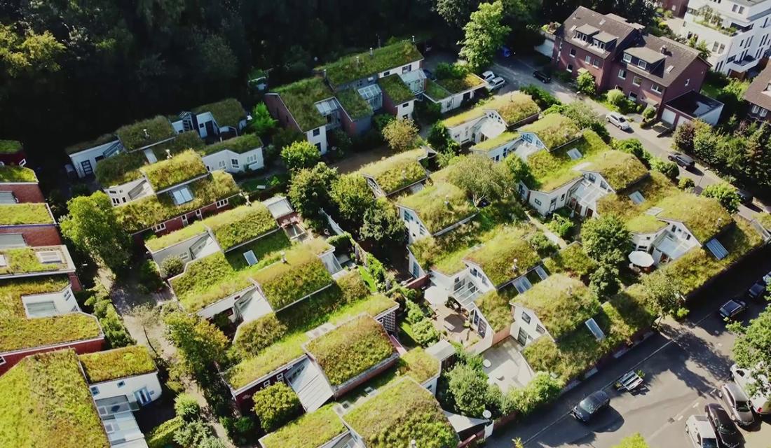 Vogelperspektive auf Siedlung mit Gründächern in Düsseldorf