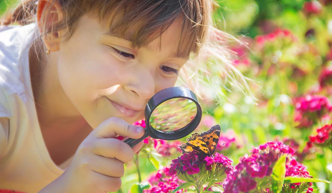 Mädchen betrachtet Schmetterling auf einer Blüte unter einer Lupe