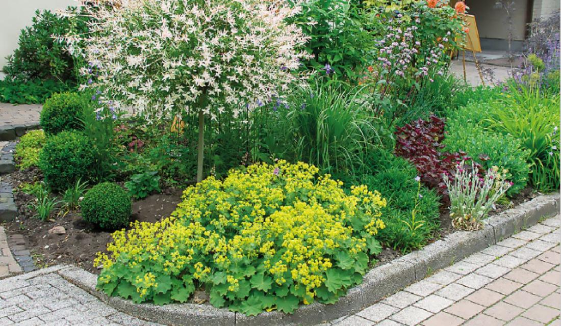 Teaserbild Broschüre - Von der Versiegelung zur Entsiegelung