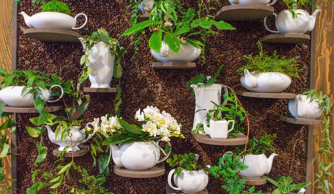 Upcycling: Alte Kaffeekannen werden als Pflanzgefäß genutzt