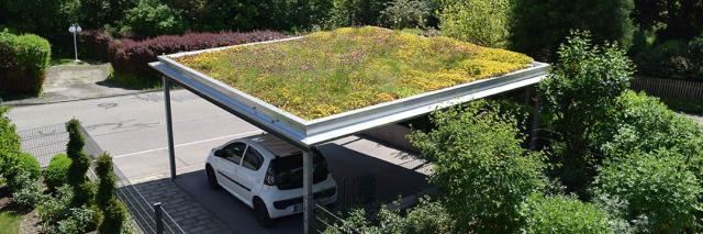 Carport mit Dachbegrünung