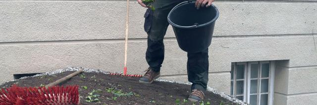 Dachbegrünung - Do it yourself