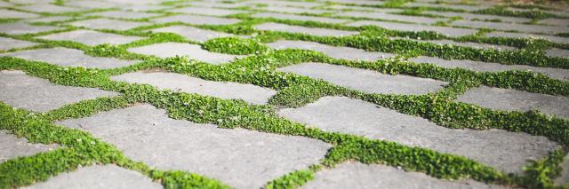 Rasenfugenpflaster mit ca. 3 cm breiten Fugen ist sehr gut belastbar und kann auch befahren werden. Es eignet sich daher für die Garagenzufahrt, im Stellplatzbereich für Pkw und Fahrrad und als Hofpflasterung, falls hier überhaupt ein stark belastbarer Belag erforderlich ist. Soweit die breiteren Fugen nicht beim Gehen behindern oder das Stellen von Stühlen und Tischen erschweren, kann man so einen Belag auch als Gehweg oder auf der Terrasse einsetzen.