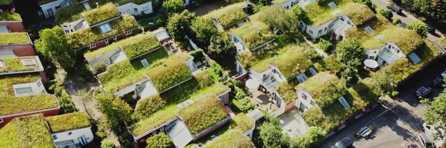 Vogelperspektive auf Siedlung mit Gründächern in Düsseldorf