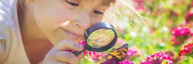 Mädchen betrachtet Schmetterling auf einer Blüte unter einer Lupe