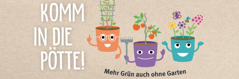 Drei gezeichnete Blumentöpfe, die mit Gemüse, Blumen und Kletterpflanzen bepflanzt sind.