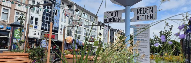 Blick auf Regenbänke und Regenfallrohr der Ausstellung "Regen retten - Stadt begrünen" am Standort Leverkusen