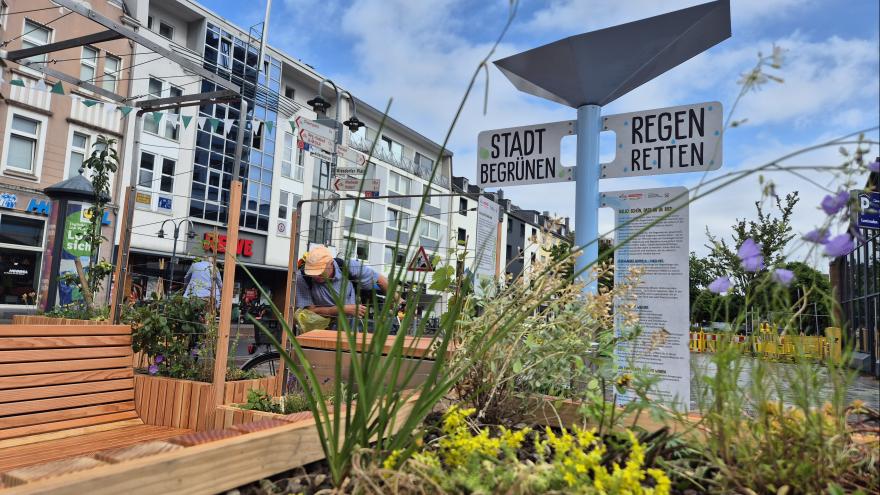Blick auf Regenbänke und Regenfallrohr der Ausstellung "Regen retten - Stadt begrünen" am Standort Leverkusen