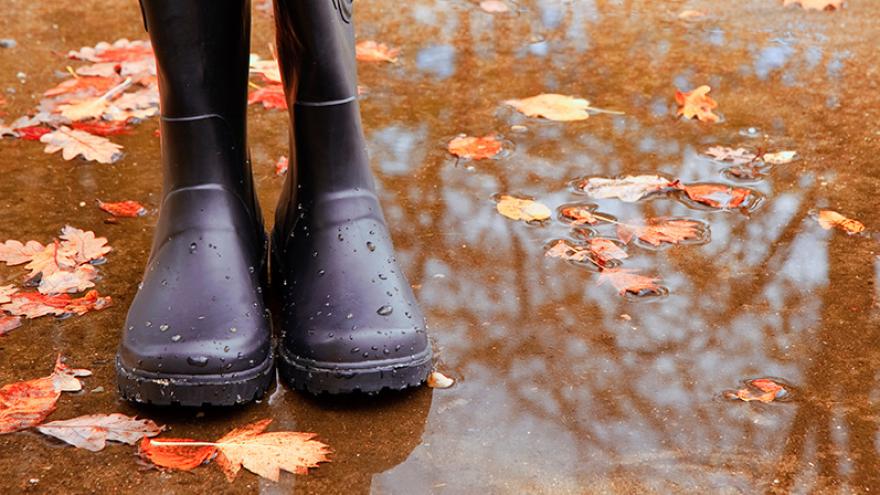 Gummistiefel in einer Pütze mit schwimmendem Herbstlaub