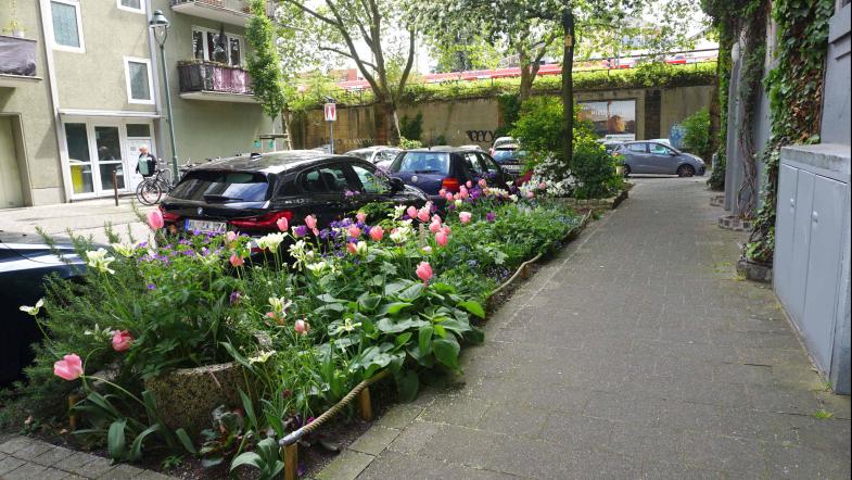 Bepflanzter Grünstreifen in Düsseldorf