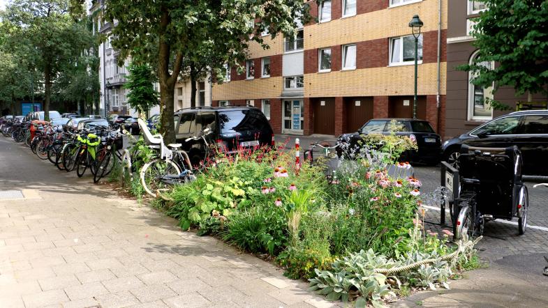 Bepflanzter Grünstreifen in der Stadt an Lastenradstellplatz