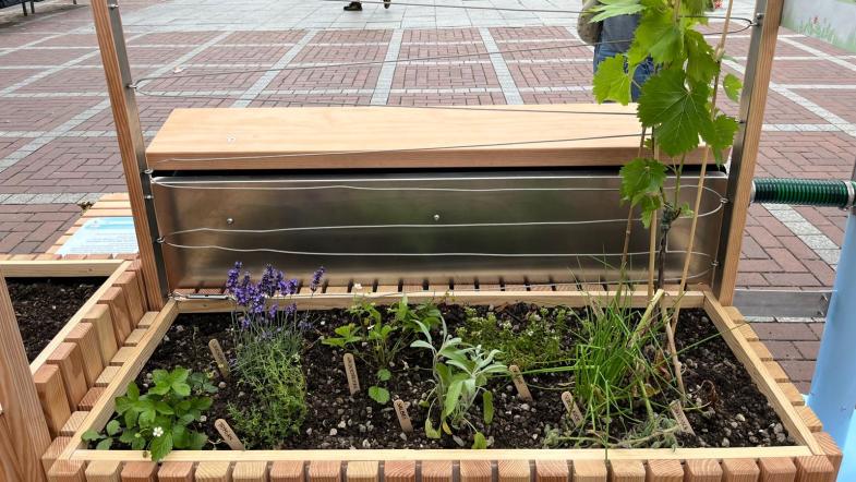 Blick auf das Modul Fassadenbegrünung der Ausstellung Regen retten - Stadt begrünen