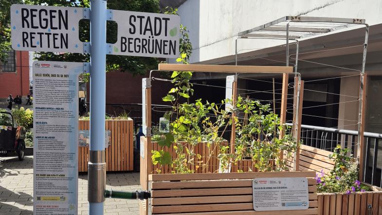 Blick auf die Ausstellungsmodule und den Regendieb