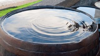 Aufsicht auf bis zum Rand gefüllte Regentonne aus Holz