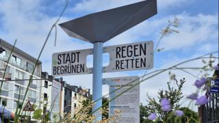 Blick auf Regenbänke und Regenfallrohr der Ausstellung "Regen retten - Stadt begrünen" am Standort Leverkusen